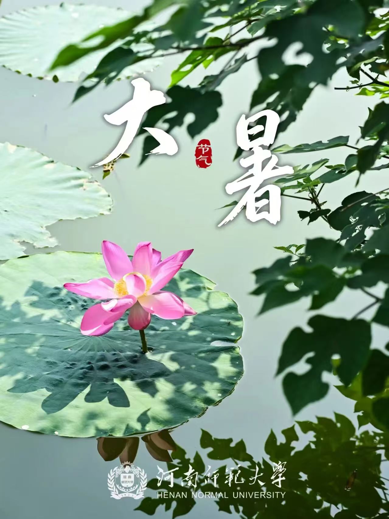 开云全线app登陆v4.2.57